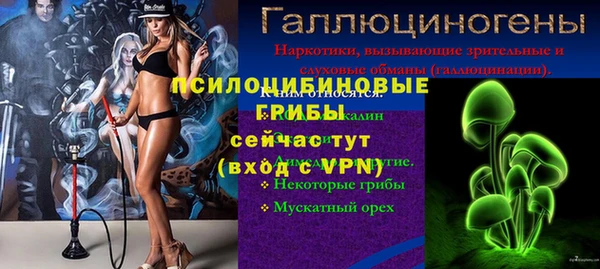 PSILOCYBIN Алзамай