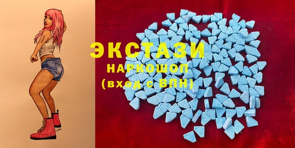 PSILOCYBIN Алзамай