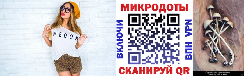 продажа наркотиков Нововоронеж Псилоцибиновые грибы ЛСД